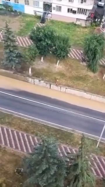 Сход селевых потоков в Кабардино-Балкарии