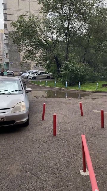 Это что за зверь???!