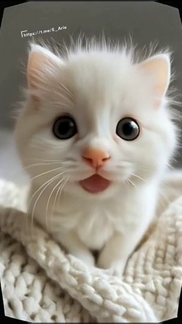 ..❤️❤️❤️👍