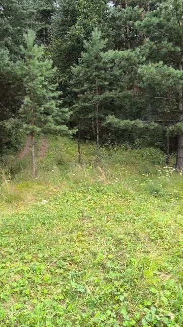 01-08-2025 Село Исетское (Темновка)