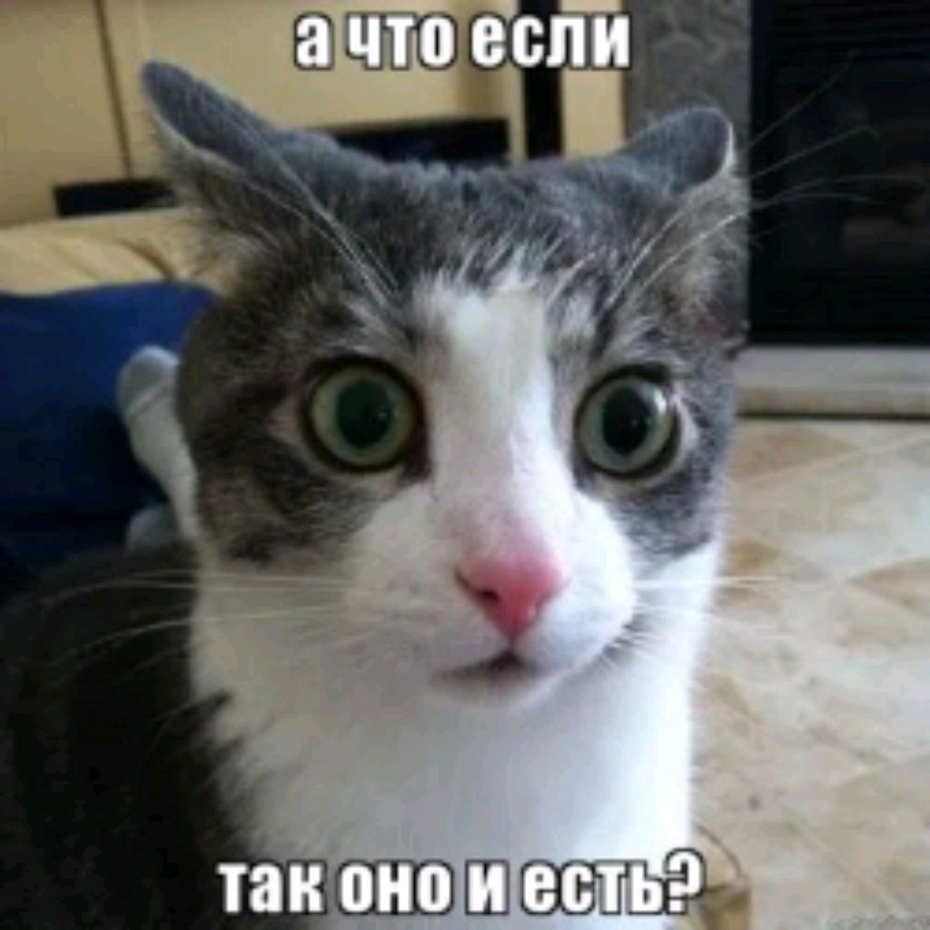 ОДНА В КВАРТИРЕ🎀💅🏻💕🎀💄💋