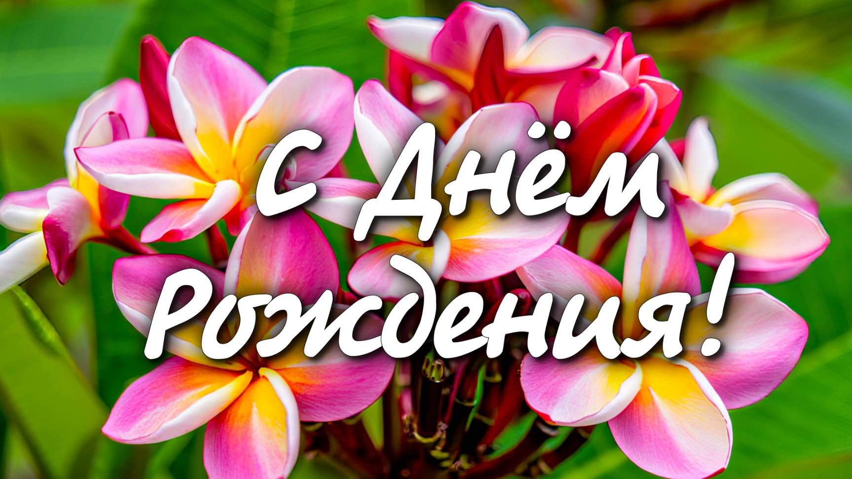 🎉 Поздравление с Днём Рождения 🎂 Красивое поздравление для любимых людей 💖