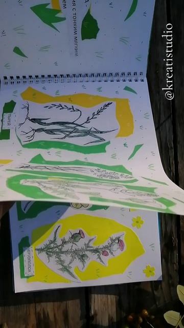 Дневник юнната