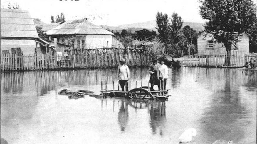 "Наш Сочи" выпуск 84