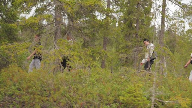 Фестиваль «Унесённые в тундру 2025»! Ловите атмосферу нашего заповедника! 🦌