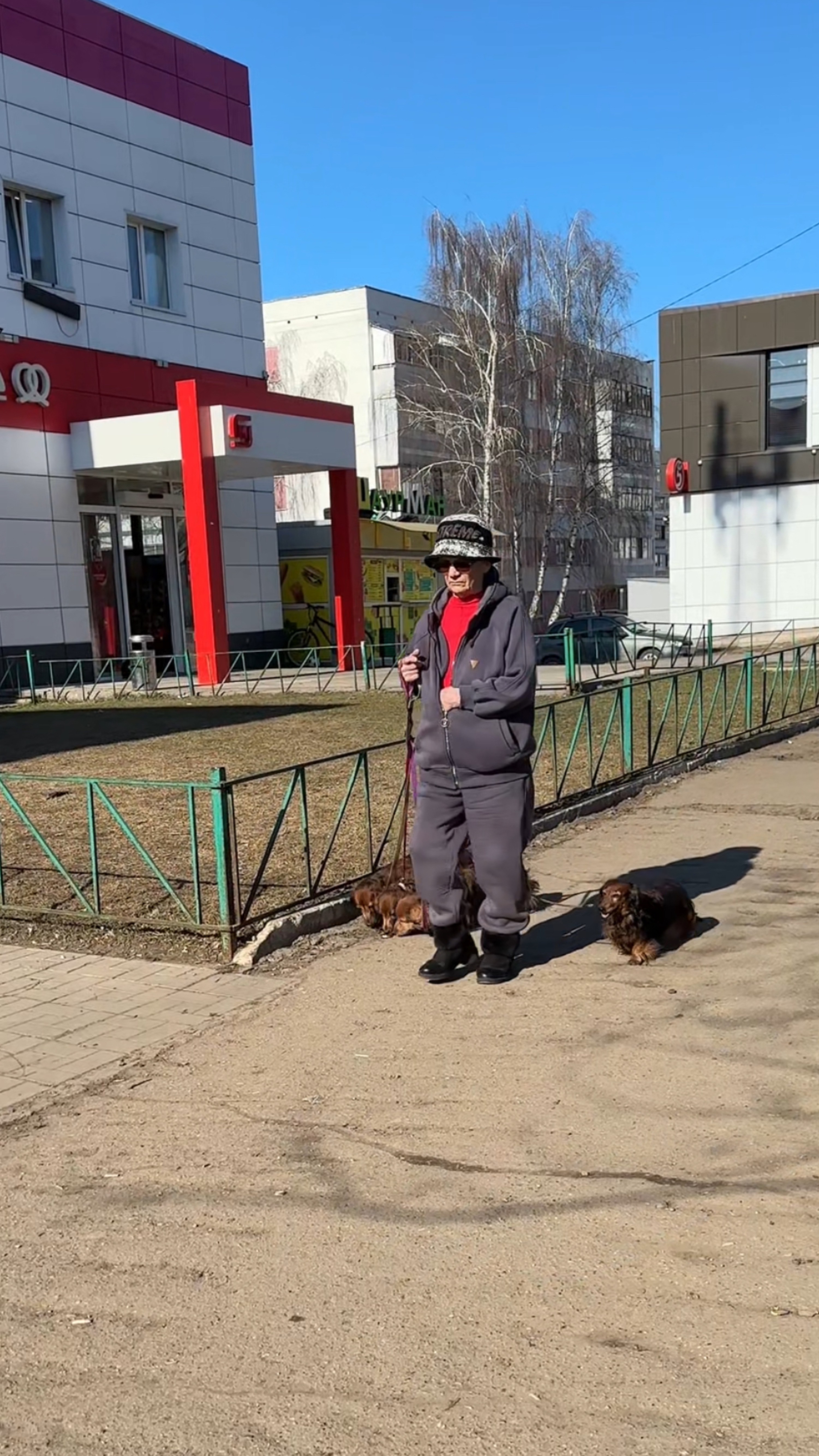 Дама с собачкой