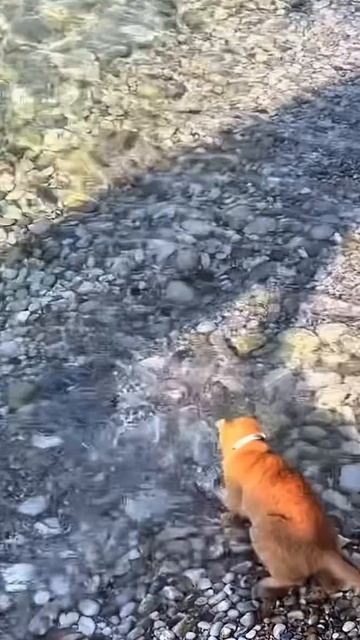 Рыбалка удалась