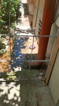 Голубые дали, 2