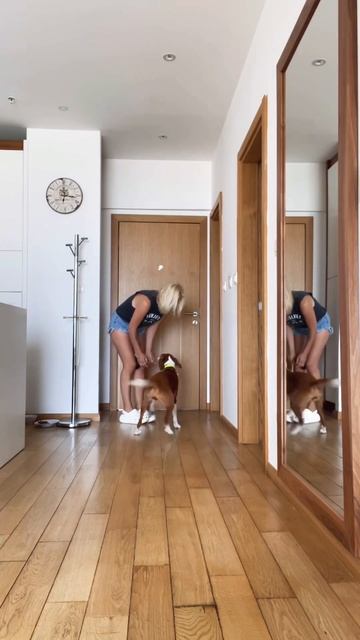 Апартаменты в Черногории на лето и зимнюю аренду   часики то тикают скоро и зима ⏰ ❄️