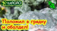 НИКОГДА НЕ ВЫБРАСЫВАЙТЕ ХЛЕБ! остатки хлеба - суперудобрение! Но сперва сделайте вот что.