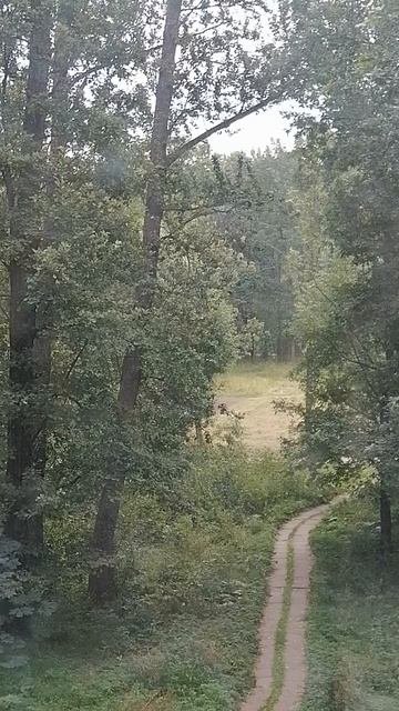 Дождливо