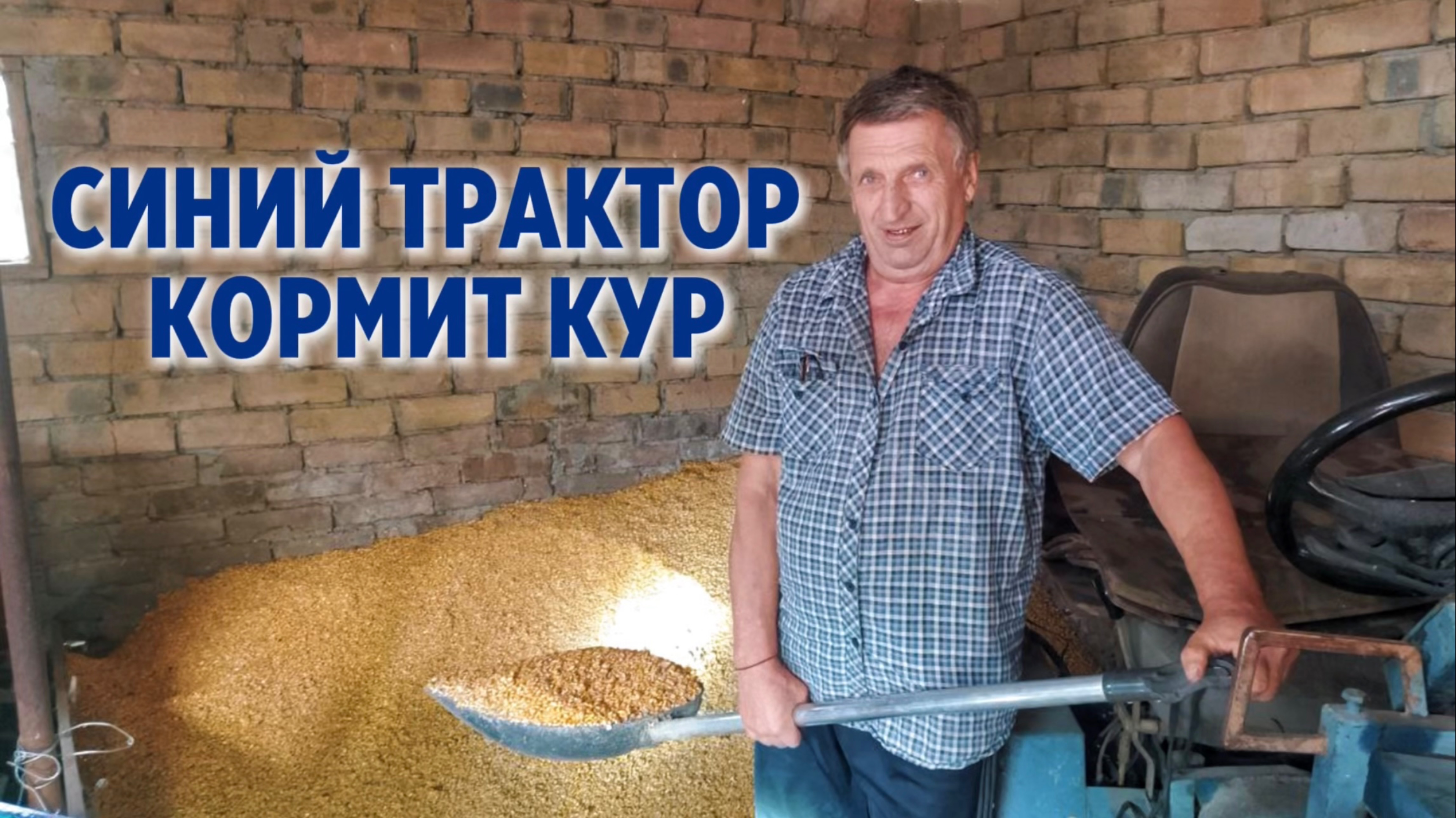 СИНИЙ МИНИ ТРАКТОР помогает перевозит кукурузу для кур. Сделал помощника своими руками