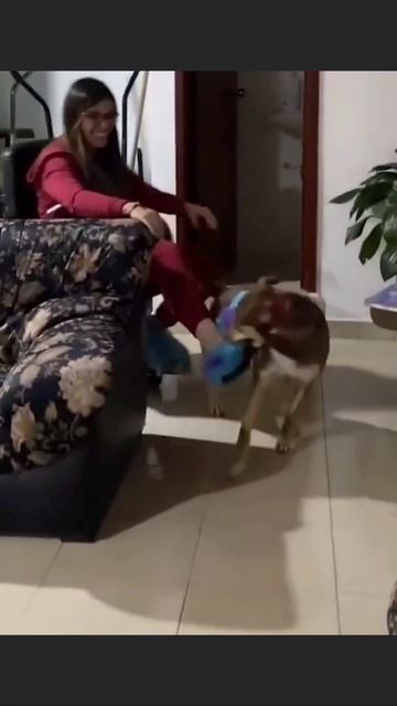 Это мое