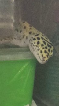 Квазя. 26 июля 2025 г.