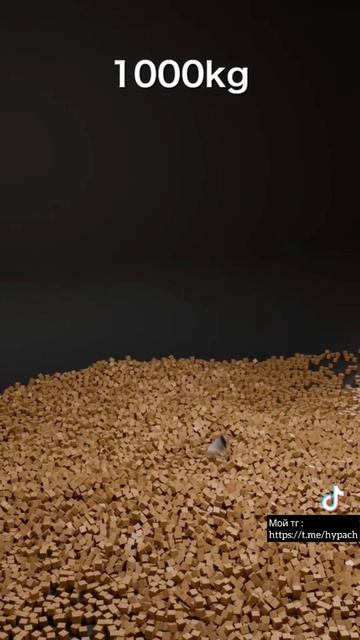 #asmr #videoviral #тренд #rek #fyp #trend
#comment #recommendations
#тренды2025год #реакция #расслаб