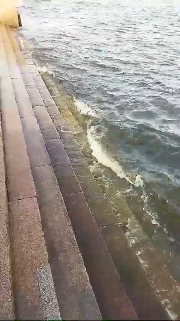 Питер 12.07.2025