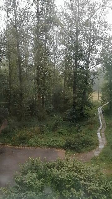 Смешно бежит бабулька