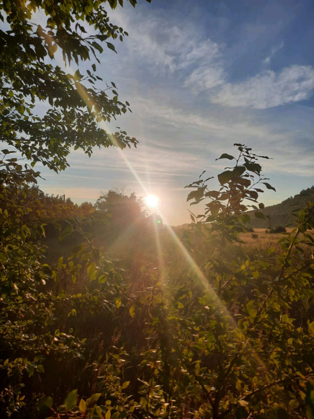 разговариваю