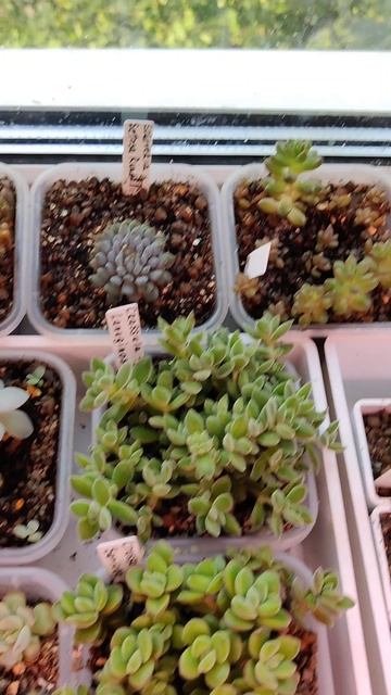 Утренняя молитва. Критиковать ли себя