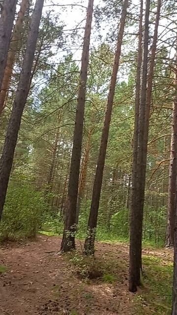 1000207701.mp4 #спорт