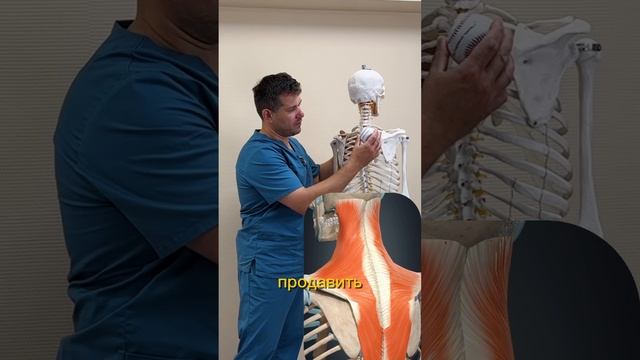 Почему именно эта мышца вызывает головную боль напряжение шеи