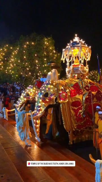 Переахера в Шри-Ланке