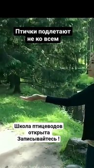Запись открыта! Учусь понимать птиц!