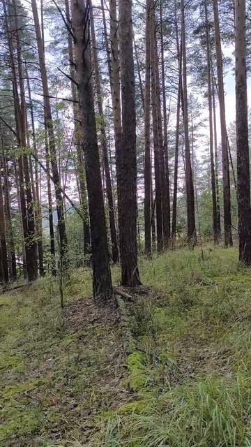 в лагере Исетские зори пдъём 31.07.2025