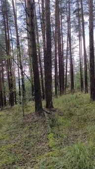 в лагере Исетские зори пдъём 31.07.2025