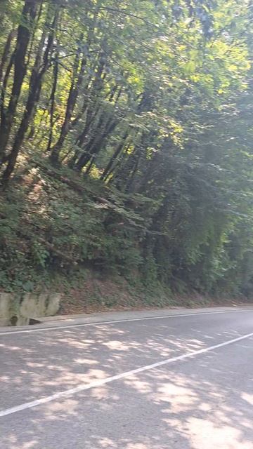 когда все идёт по плану