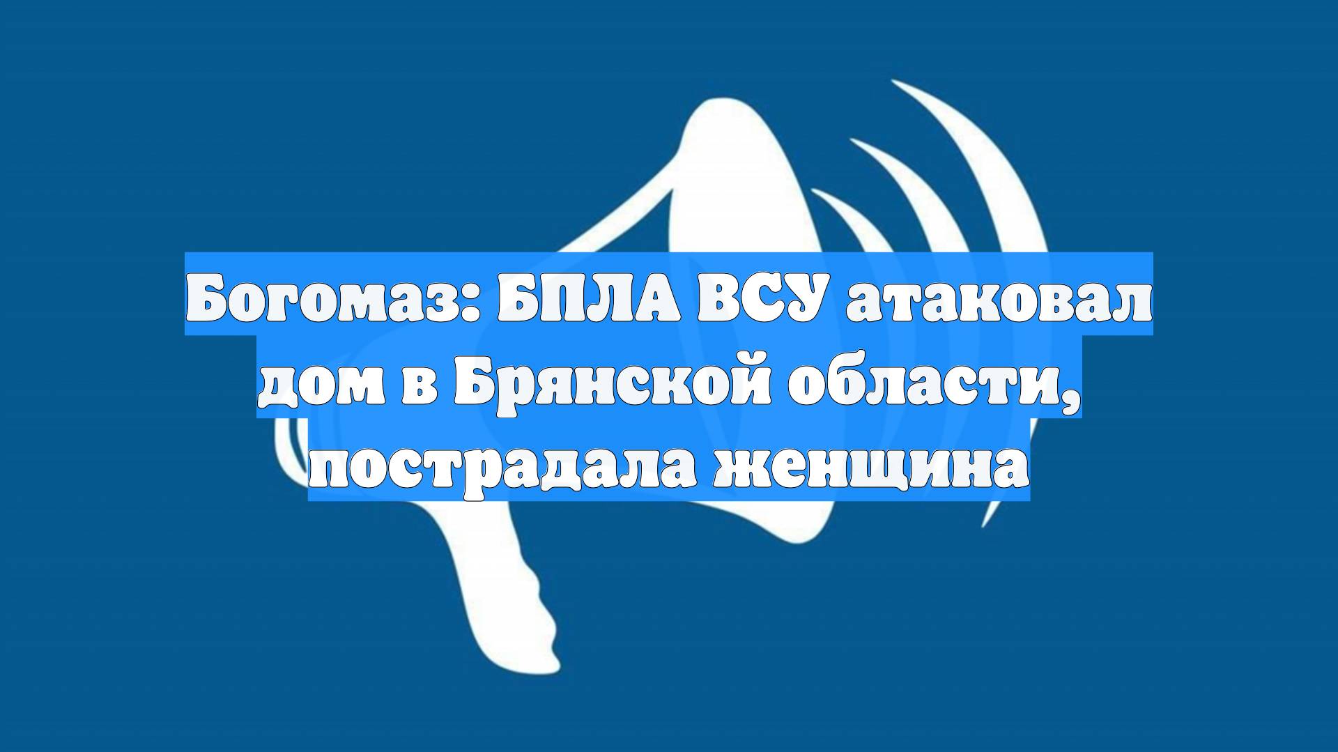 Богомаз: БПЛА ВСУ атаковал дом в Брянской области, пострадала женщина