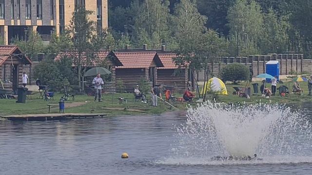 Поимка карпа