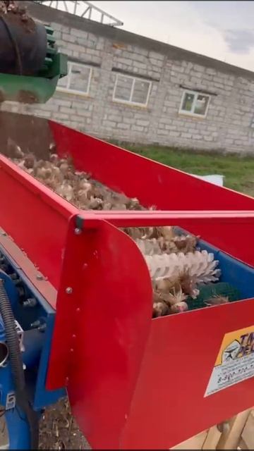 Техника для чеснока. Первичная очистка.