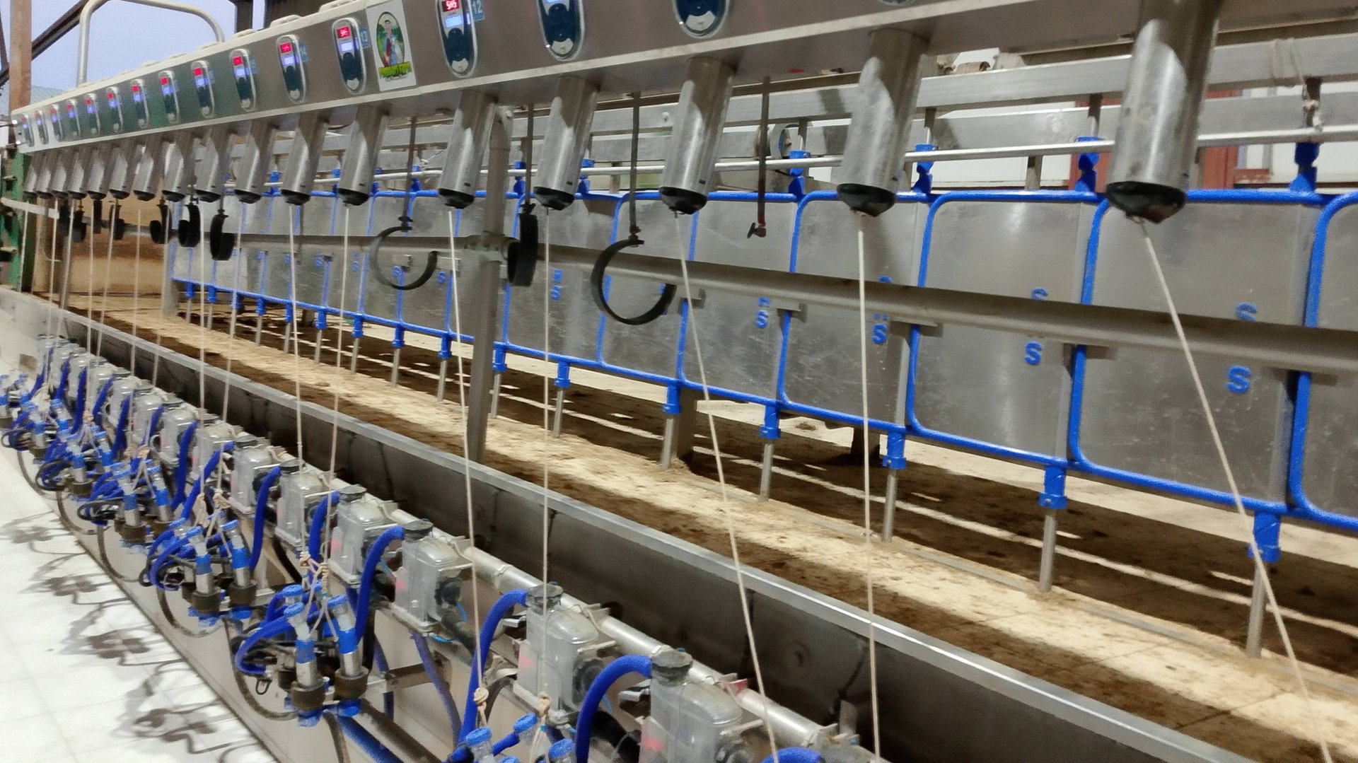 Sylco Hellas - Доильные залы для коз и овец корпоративное видео.