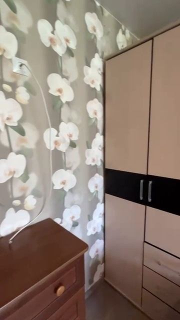 WhatsApp Video 2025-08-02 at 11.34.17