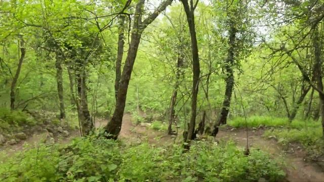 Поездка на гору Тепе-Кермен. ч. 6. Финал.
