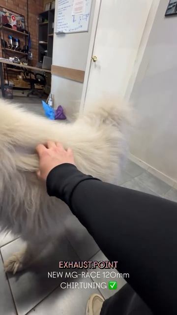 85a173c2d1704d27a1a79fcb56254e7a