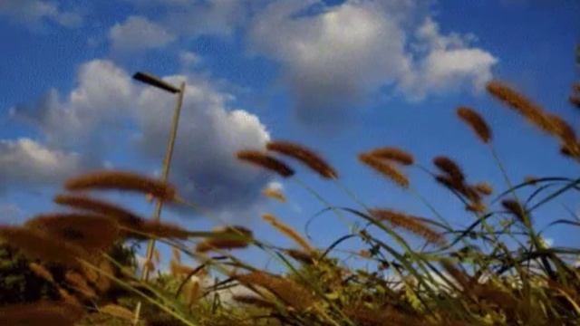 Мир полный чудес.