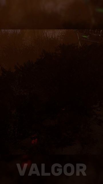 Природа нас прикрыла😂