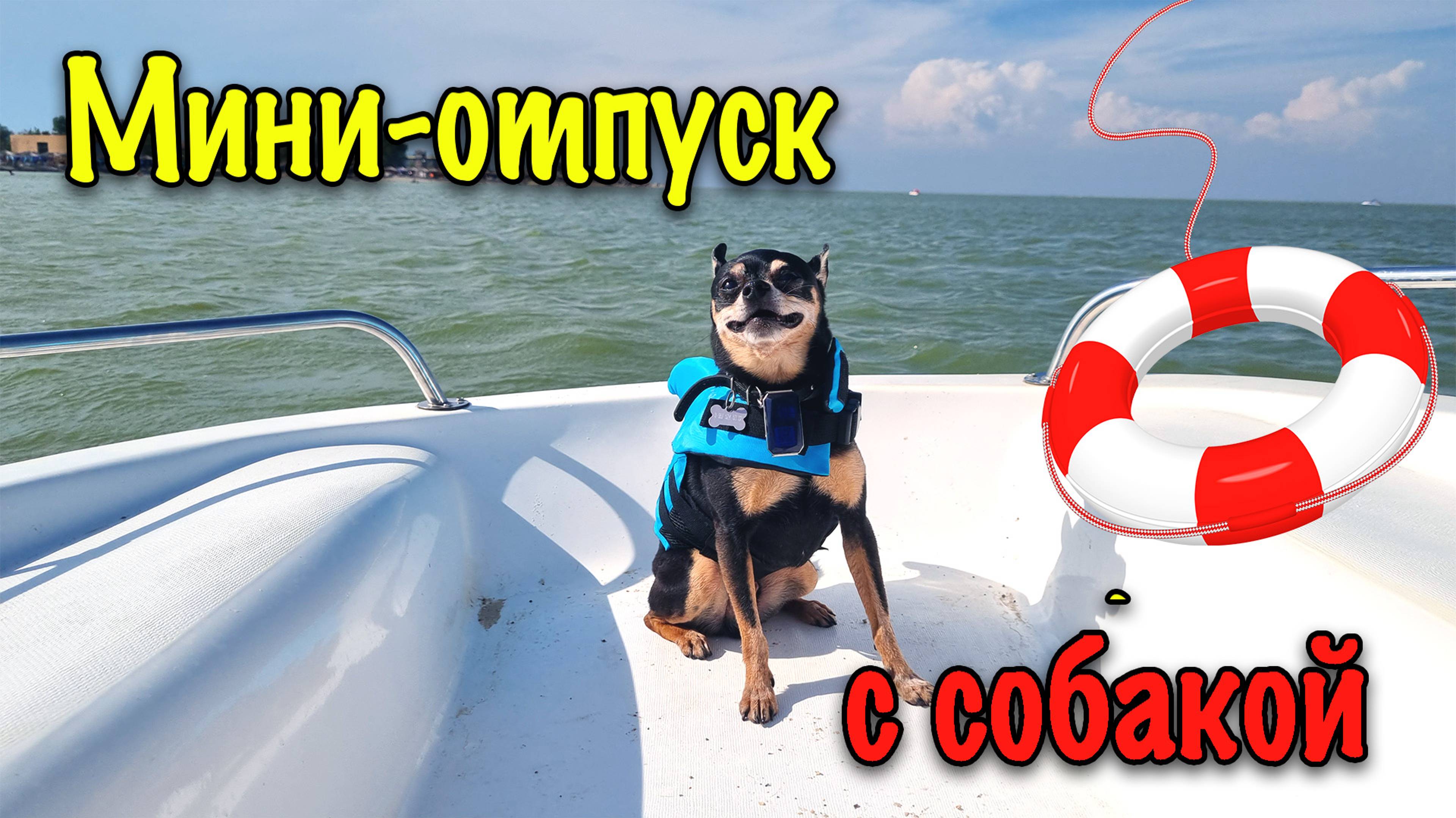 Павло-Очаковская коса или как Той в отпуск ездил