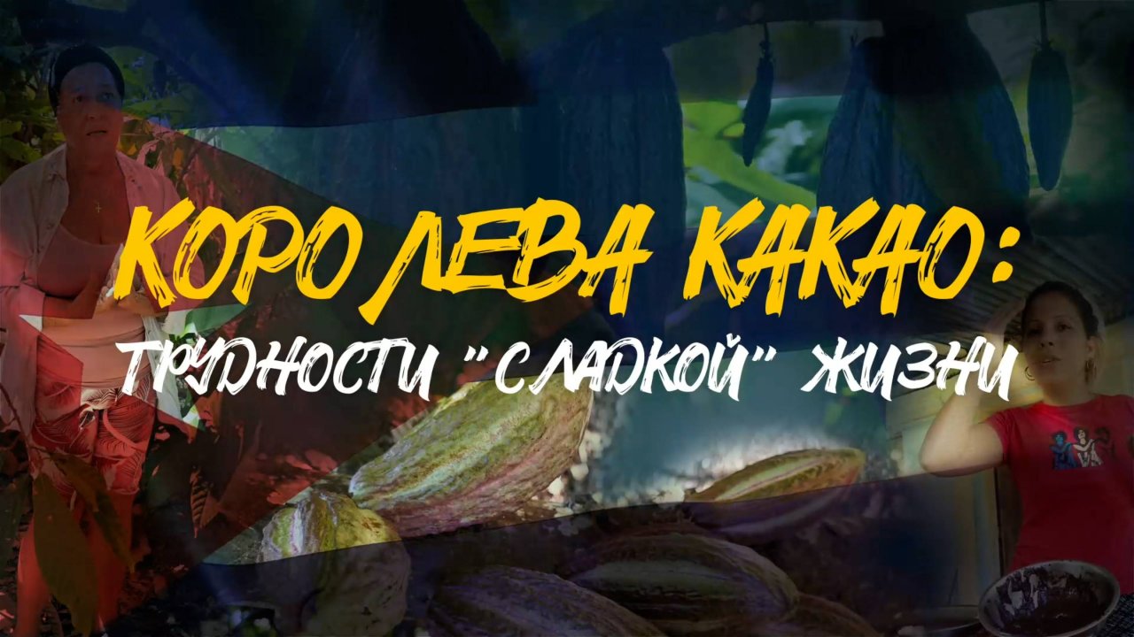 КОРОЛЕВА КАКАО | Трудности сладкой жизни | САМЫЙ ВКУСНЫЙ ШОКОЛАД НА КУБЕ