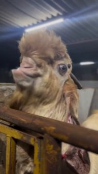 Когда встал немного не в духе