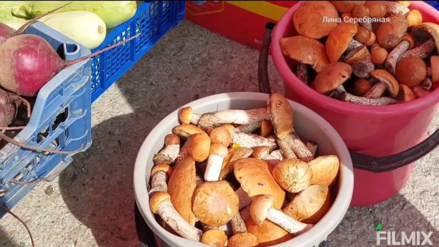 Ярмарка выходного дня в Благовещенске! 02.08.2025г