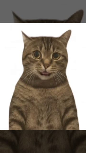 ЛЯЛЯЛЯЛЯЛЯЛЯЛЯЛЯЛЯЛЯЛЛЯ