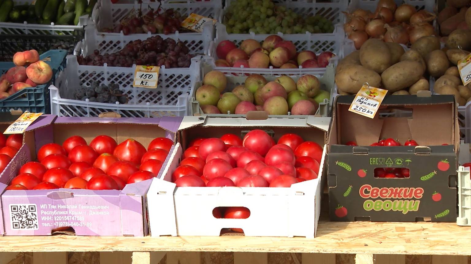 Проверки палаток по продаже овощей и фруктов продолжаются