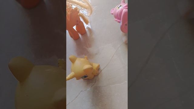 1000003156.mp4