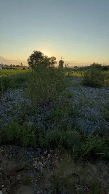Участок 10 сот р-н Шмидтовка, Владивосток, 25:10:011500:1581