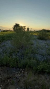 Участок 10 сот р-н Шмидтовка, Владивосток, 25:10:011500:1581