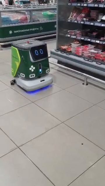 Техника: Робот полотёр