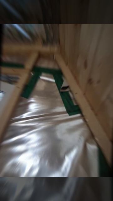 1000030774.mp4 (Собака наблюдает за креплением каркаса для имитации бруса в доме А-фрейм)